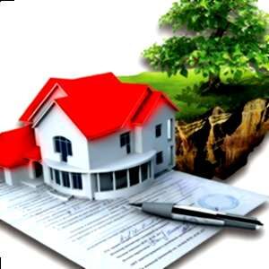 Подробнее о статье Алгоритм оформления земельного участка под домом в собственность в 2019 году