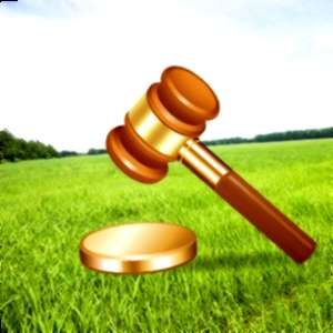 Подробнее о статье Нюансы судебной практики по кадастровой ошибке при наложении земельных участков в 2019 году